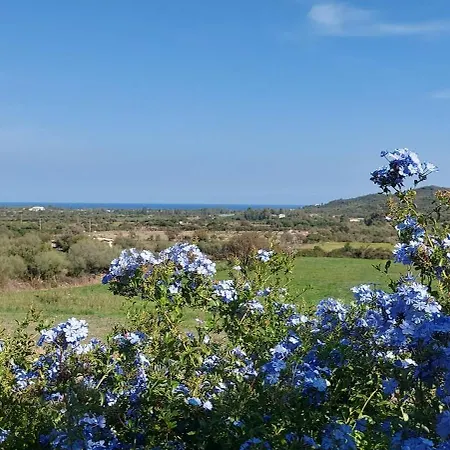 La Casa Di Eve Σπίτι διακοπών Budoni