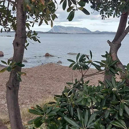 Σπίτι διακοπών La Casa Di Eve Budoni