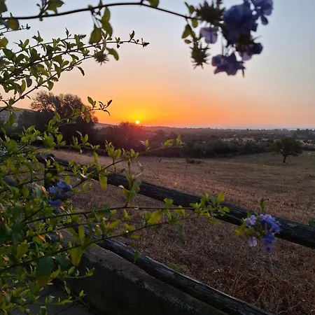 La Casa Di Eve Tatil Evi