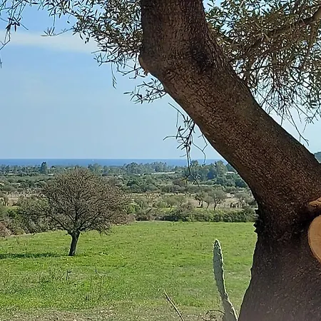 La Casa Di Eve